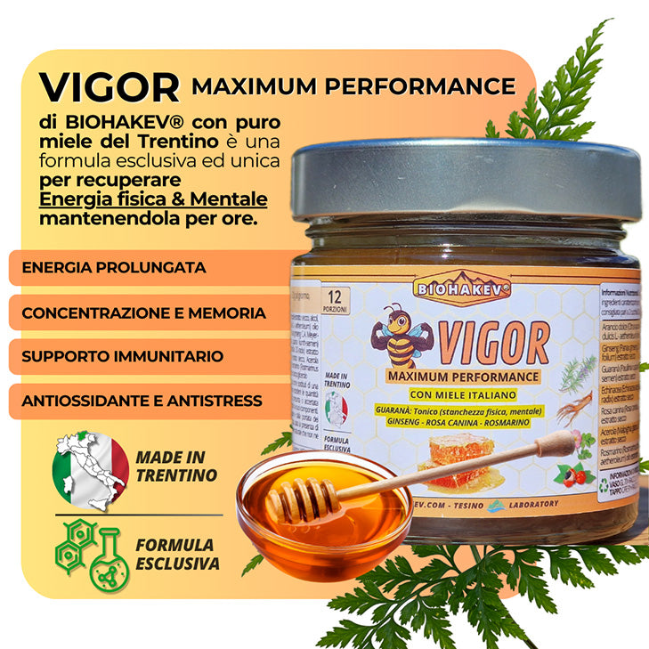 VIGOR MAXIMUM PERFORMANCE