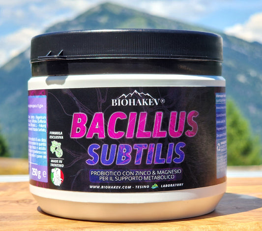 BACILLUS SUBTILIS