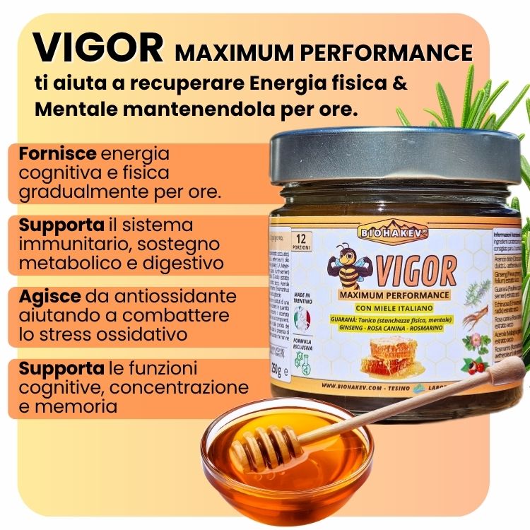 VIGOR MAXIMUM PERFORMANCE